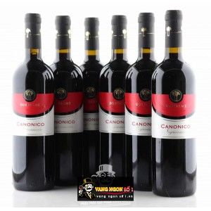 Vang Ý DUE PALME CANONICO NEGROAMARO bn1