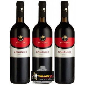 Vang Ý DUE PALME CANONICO NEGROAMARO