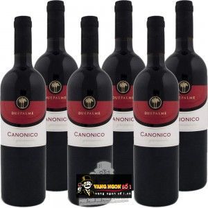 Vang Ý DUE PALME CANONICO NEGROAMARO bn2