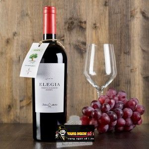 Rượu Vang Ý ELEGIA PRIMITIVO DI MANDURIA RISERVA bn1