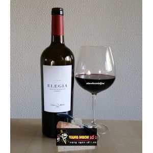 Rượu Vang Ý ELEGIA PRIMITIVO DI MANDURIA RISERVA bn2