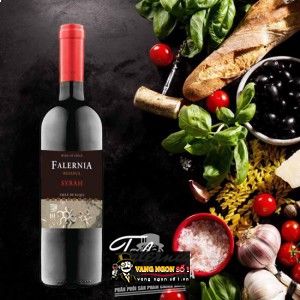 Rượu Vang Chile FALERNIA RESERVA MERLOT bn1