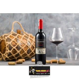 Rượu Vang Chile FALERNIA RESERVA MERLOT bn2