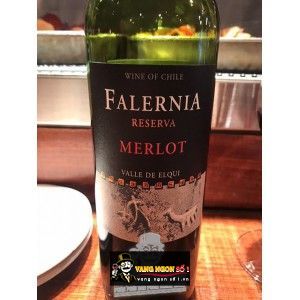 Rượu Vang Chile FALERNIA RESERVA MERLOT bn3