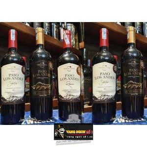 Vang Chile PASO LOS ANDES GRAN RESERVA bn2