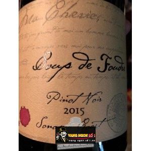 Vang Mỹ COUP DE FOUDRE PINOT NOIR bn1