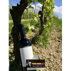 Vang ý GIANNI GAGLIARDO BAROLO LAZZARITO VIGNA PREVE bn3