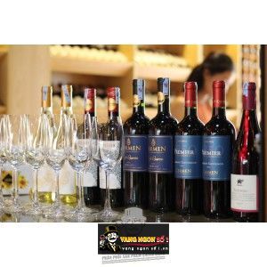 Vang Chile CARMEN PREMIER RESERVA CABERNET SAUVIGNON bn3