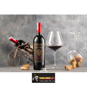 Vang Chile FALERNIA CABERNET SAUVIGNON GRAN RESERVA bn3