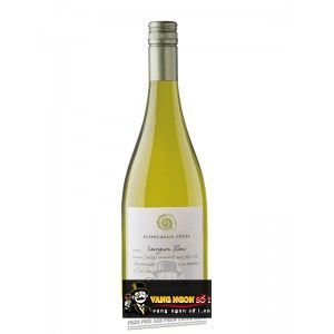Vang Chile ACONCAGUA COSTA SAUVIGNON BLANC ERRAZURIZ