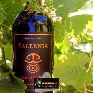 Vang Chile FALERNIA CARMENERE GRAN RESERVA bn3