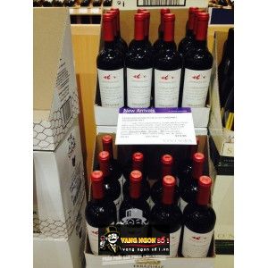 Vang Chile ACONCAGUA ALTO CABERNET SAUVIGNON ERRAZURIZ bn1