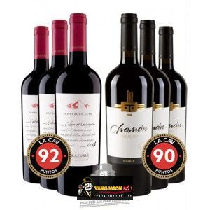 Vang Chile ACONCAGUA ALTO CABERNET SAUVIGNON ERRAZURIZ bn2