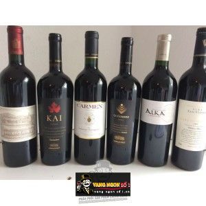 Rượu Vang Chile ERRAZURIZ KAI CARMENERE bn2