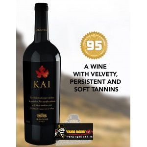 Rượu Vang Chile ERRAZURIZ KAI CARMENERE bn3