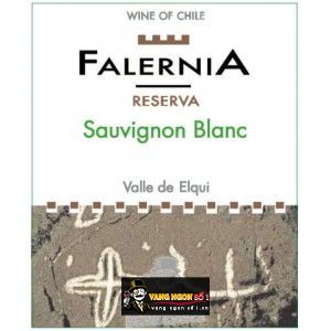 Vang Chile FALERNIA RESERVA SAUVIGNON BLANC bn1