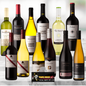 Vang Chile FALERNIA RESERVA SAUVIGNON BLANC bn2