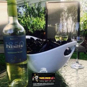 Vang Chile CARMEN PREMIER SAUVIGNON BLANC bn2
