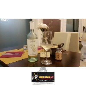Vang Ý VERDECA LE VIGNE DI SAMMARCO bn2