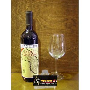 Vang Ý CANDIDO SALICE SALENTINO RISERVA bn1