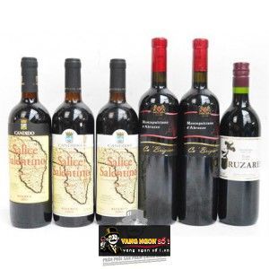 Vang Ý CANDIDO SALICE SALENTINO RISERVA bn2