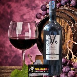 Vang Ý V6 SALICE SALENTINO bn1