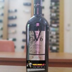 Vang Ý V6 SALICE SALENTINO bn2