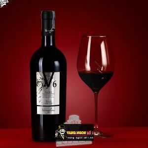 Vang Ý V6 SALICE SALENTINO bn3