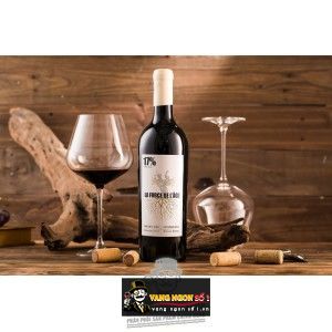 Rượu Vang Pháp LA FORCE DE L'AGE 17 độ bn1