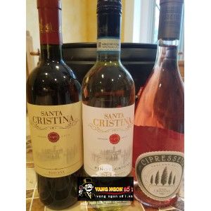 Vang Ý Santa Cristina Pinot Grigio Delle Venezie bn3