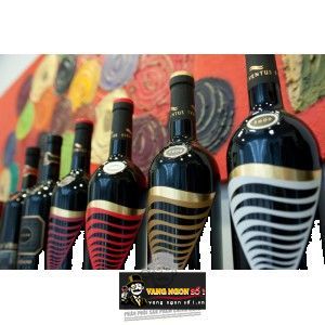 Rượu vang Eventus Primitivo Giordano Salento bn3