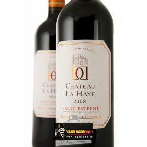 Rượu vang Pháp Chateau La Haye Saint Estephe bn1