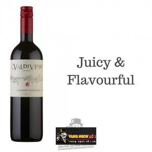 Rượu vang Chile Valdivieso Cabernet Sauvignon bn2