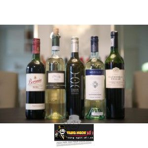 Vang Nam Phi Vinum Africa Chenin Blanc bn1