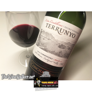 Vang Chile Terrunyo Carmenere Block 27 Concha Y Toro bn1