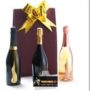 Rượu Champagne Bottega Spumante Bianco Millesimato Brut bn2