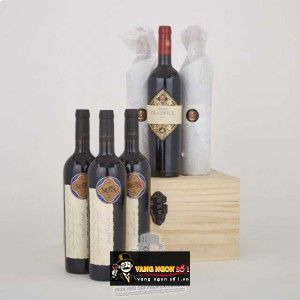 Vang Chile Sena Chadwick cao cấp bn2