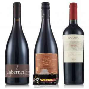 Vang Chile Reserva de Pueblo Original Miguel Torres bn1