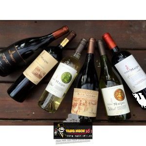 Rượu vang Chile Alto Tajamar Syrah Cabernet Sauvignon bn2