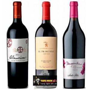 Rượu vang Chile Almaviva 2010 - 2015 bn1