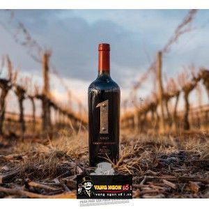 Vang Argentina Antigal One Malbec La Dolores Vineyard bn3
