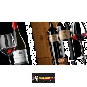 Vang Ý Plozza cao cấp bn1