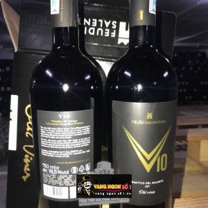 Vang Ý V10 PRIMITIVO DEL SALENTO 18,5 ĐỘ bn2