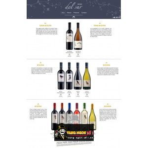 Vang Chile AVES DEL SUR CHARDONNAY bn1