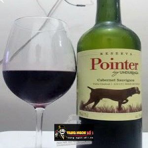 Vang Chile POINTER UNDURRAGA CABERNET SAUVIGNON bn2