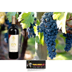 Vang Chile SYN Classique Cabernet Sauvignon bn2