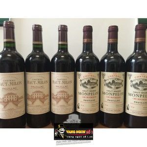 Rượu vang Pháp Chateau Haut Bages Monpelou Pauillac bn2
