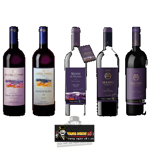 Vang Chile Manso de Velasco Miguel Torres bn3