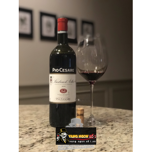 Rượu vang Pio Cesare Barbera d‘Alba bn2