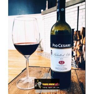 Rượu vang Pio Cesare Barbera d‘Alba bn3